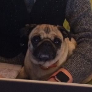 Meet your Posher, Lyn